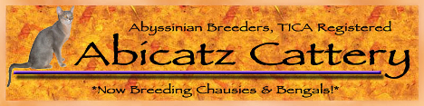 Abicatz