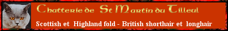 St Martin du Tilleul