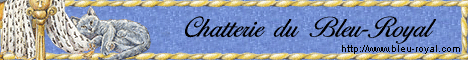 Les Chartreux de la Chatterie du Bleu-Royal - 
		Elevage familial de chats chartreux