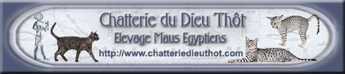 Chatterie du Dieu Th�t