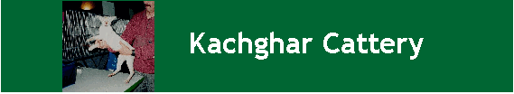 Kachghar