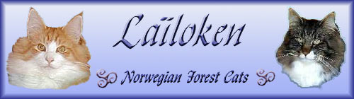Lailoken
