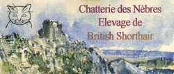 Chatterie des Nebres