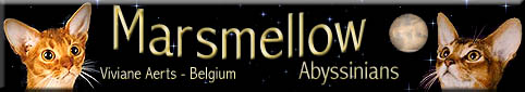Marsmellow