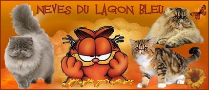 Le Lagon Bleu